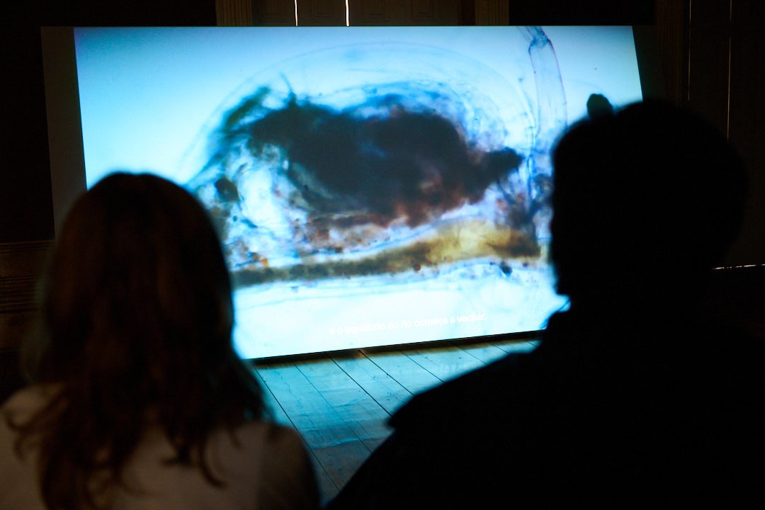 Bienal_Fotografia_Porto_FUndação Marques da Silva07