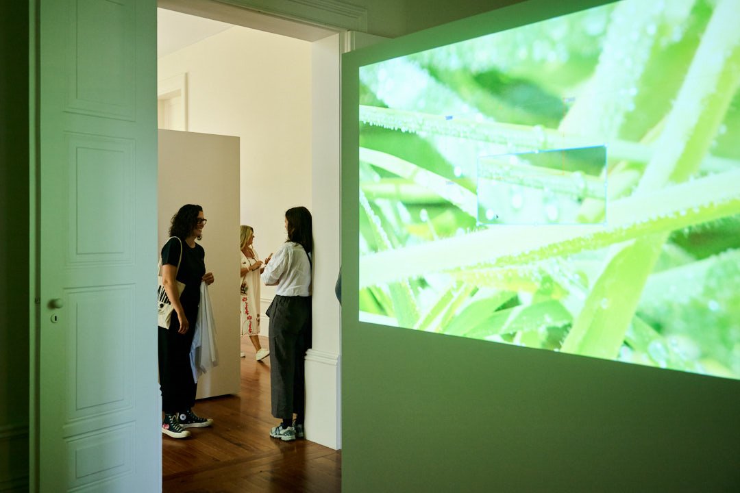 Bienal_Fotografia_Porto_Museu_Biodiversidade_Catarina01