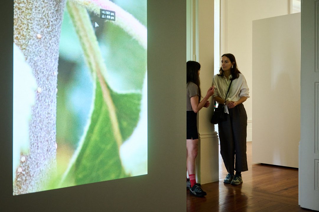 Bienal_Fotografia_Porto_Museu_Biodiversidade_Catarina07