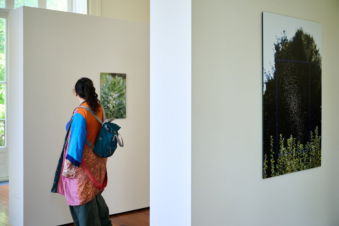 Bienal_Fotografia_Porto_Museu_Biodiversidade_Catarina05